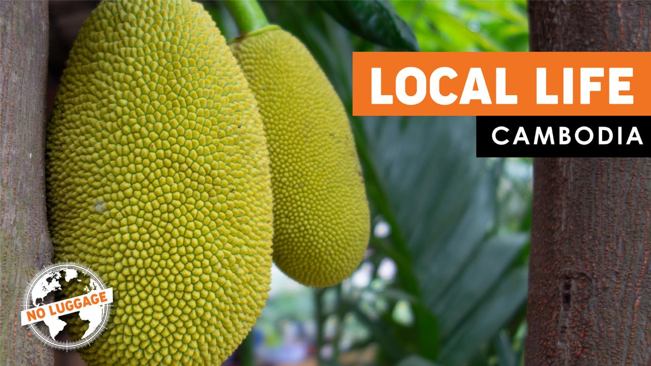 No Luggage food and culture episode sample